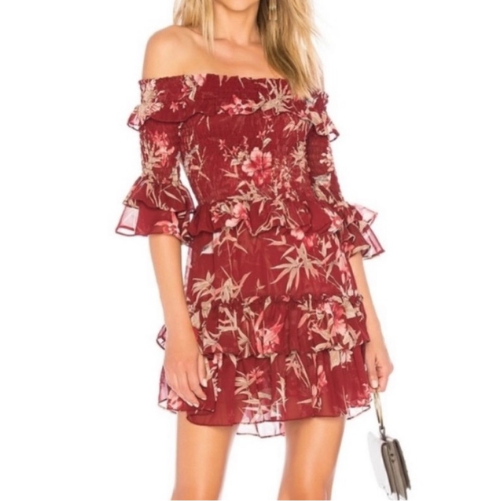 NWT MISA LOS ANGELES
“Rima” Floral Print Ruffle Mini Dress Sz M